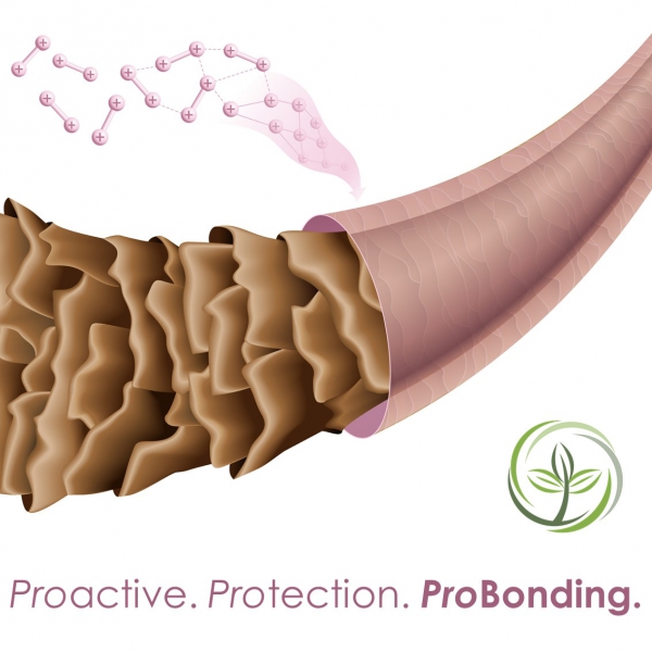 ProCutiGen® Hold